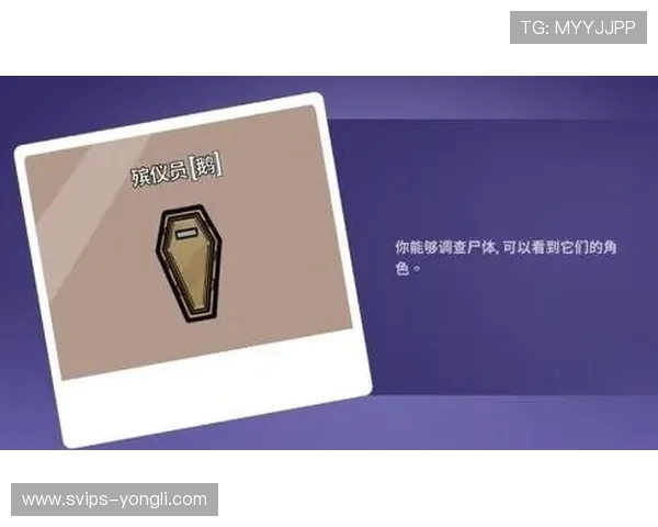 暗杀者职业最强玩法揭秘 提升击杀效率与生存能力的终极技巧