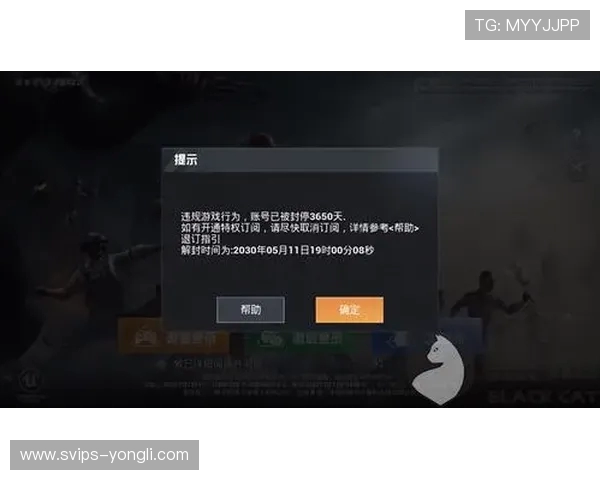新百胜公司游戏账号无法登录解决方法及常见问题解析